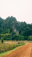 Dirt path with green fields and luxurious mountain in the background, Thakhek loop, Laos
