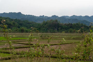 Fototapeta na wymiar Green fields with luxurious mountain in the background, Thakhek loop, Laos