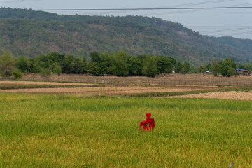 scarecrow in the middle of a green field with luxurious mountain in background, Thakhek loop, Laos.