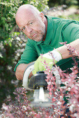 man cutting hedge with electronic trimmer during gardening work