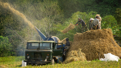 Asian workers with hat, in the field in Vang Vieng, Laos. Green and Yellow colors