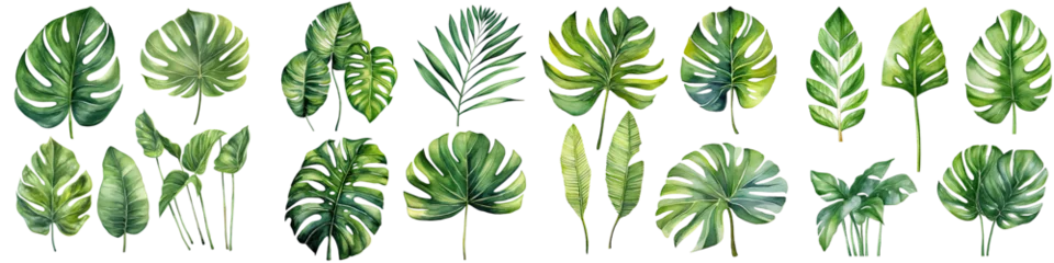 Papier Peint photo Monstera watercolor leaves set, watercolor botanical painting. Jungle illustrations, monstera and banana leaf. Tropical green plant , transparent background, PNG ,Generative AI