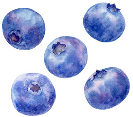 Obraz na płótnie Canvas ブルーベリーの水彩画イラスト　ランダムに配置された5つのブルーベリー