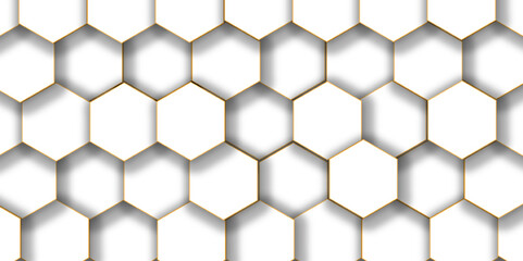Topographic Map in Contour Line Light topographic topo contour map and Ocean topographic line map with curvy wave isolines vector	
