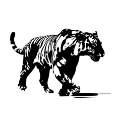 tiger animal images