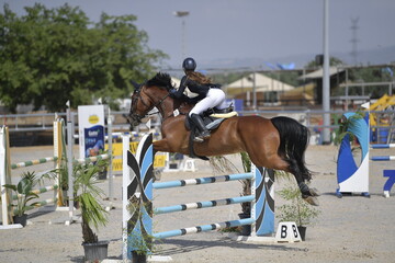 The rider on horse jumping over a hurdle during the equestrian