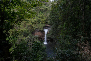 Waterfall in the forest / jungle in Khao Yai National Park, Thailand.