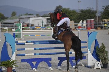 The rider on horse jumping over a hurdle during the equestrian