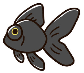 かわいい金魚　デメキン