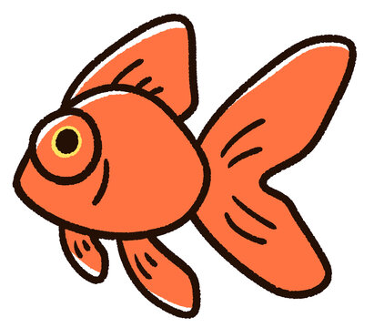 金魚横向き」の写真素材 | 142件の無料イラスト画像 | Adobe Stock