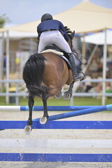 The rider on horse jumping over a hurdle during the equestrian