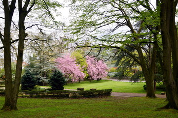 Park in Spring in the Town Aachen, North Rhine - Westphalia