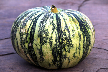 fresh colored pumpkin on the ground