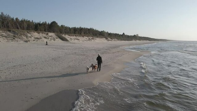 A woman with two dogs, Australian Shepherds walks on an empty beach on the shore of the Baltic Sea