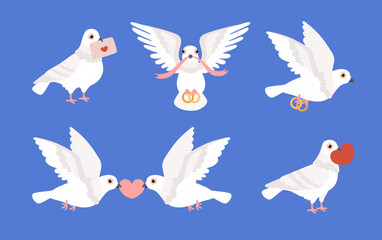 Romantic pigeons set, bird carrying wedding ring, heart and love letter - cartoon flat vector illustration isolated.