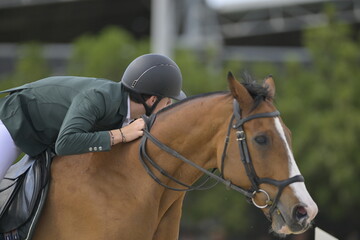 The rider on horse jumping over a hurdle during the equestrian