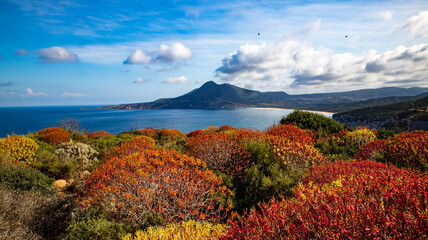 Wild landscapes and cliffs in Buggerru coastline, Sardinia