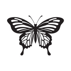 Silhouette of butterfly. Monochrome vector illustration