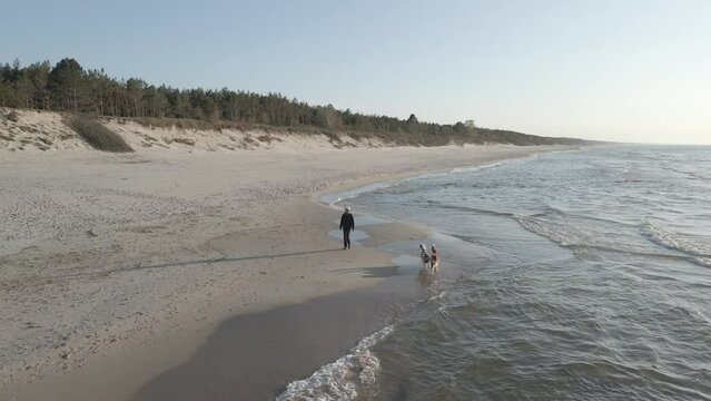 A woman with two dogs, Australian Shepherds walks on an empty beach on the shore of the Baltic Sea