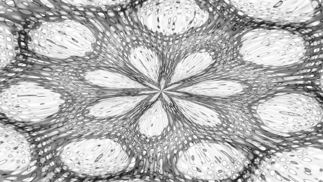 Flower Mandala Imploded To The Middle Glowing Dots Monochrome Loop