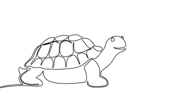 Turtle one line continuous. Line art, outline isolated on white background. Vector illustration.