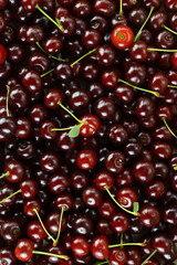 Fresh cherry pattern. Fruit background. Wallpaper for health food store.