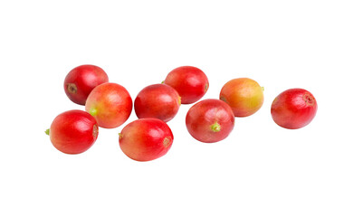fresh coffee beans isolated on transparent png