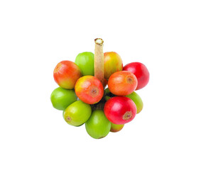 coffee beans isolated on transparent png