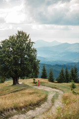 Fototapeta na wymiar woman on the path near old big beech tree in the mountains