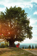 a couple stands under a big old beech tree with a view of the mountains and the sunset - obrazy, fototapety, plakaty