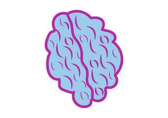 brain isolated on white