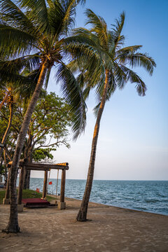 Beachfront sunrise with pool and palm trees in Hua Hin, Prachuap Khiri Khan, Thailand