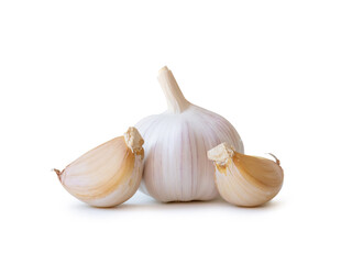 Single fresh white garlic bulb with segments isolated on white background with clipping path, Thai herb is great for healing several severe diseases, heart attack, Hyperlipidemia