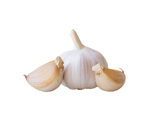 Single fresh white garlic bulb with segments isolated on white background with clipping path in png file format, Thai herb is great for healing several severe diseases, heart attack