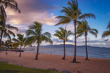 Palms on the beach of Townsville, Queensland, Australia