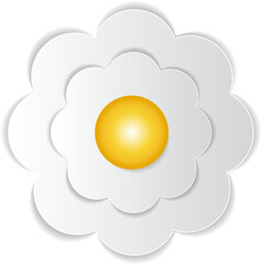 beautiful white flowers