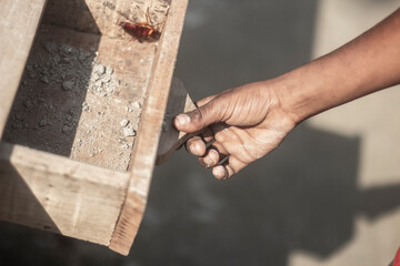 A man opens an old wooden box with his hands containing cockroaches