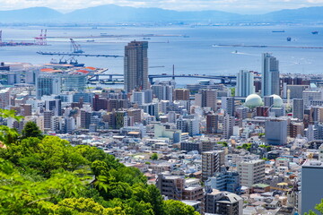 六甲山から眺める新緑と神戸の街（眼下に中央区の街並みが見えます）
