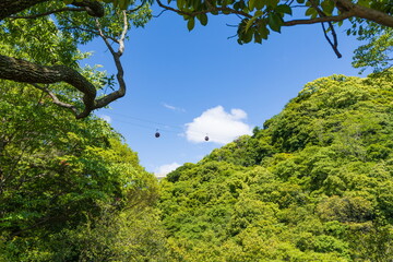 新緑とロープウェイ　神戸市中央区六甲山にて