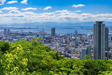 Fototapeta premium 六甲山から眺める新緑と神戸の街（中央区・灘区の街並み・左前方に六甲アイランドが見えます）