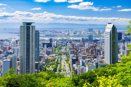 六甲山から眺める新緑と神戸の街（中央区の街並み・ポートアイランド・空港島が見えます）