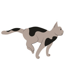 illustration of a cat