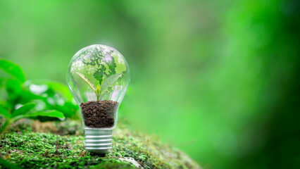 A tree and a green world map are placed on a light bulb representing green energy. Sustainable renewable energy concept in environmental protection renewable energy