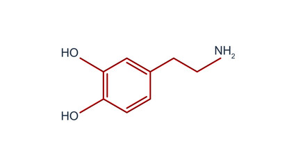 Structural chemical formula of dopamine molecule over white background.