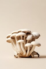 mushroom on cream background, generative ai