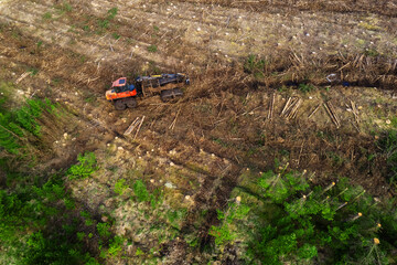 Timber harvester tractor with red cabin in a field with tree stumps. Aerial view. Forest cutting equipment. Building and firewood production. Ecology issue. Professional tool or equipment for top job