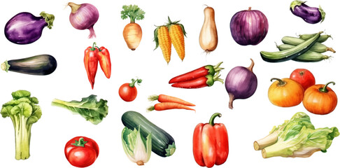 Set of watercolor mixed vegetables Easy to draw, white background 