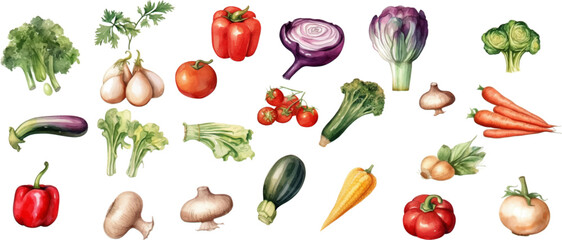 Set of watercolor mixed vegetables Easy to draw, white background 