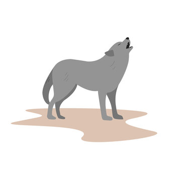 Gray wild wolf howls. Minimalist flat graphic of a wolf standing and howling. Vector illustration on a white background.
