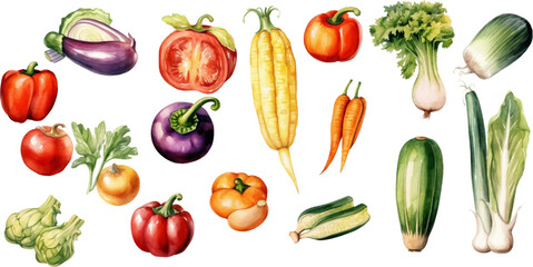 Set of watercolor mixed vegetables Easy to draw, white background 